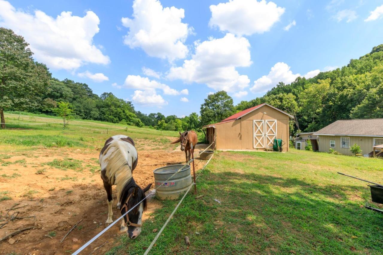 4 Bedroom Country Getaway 纳什维尔 外观 照片